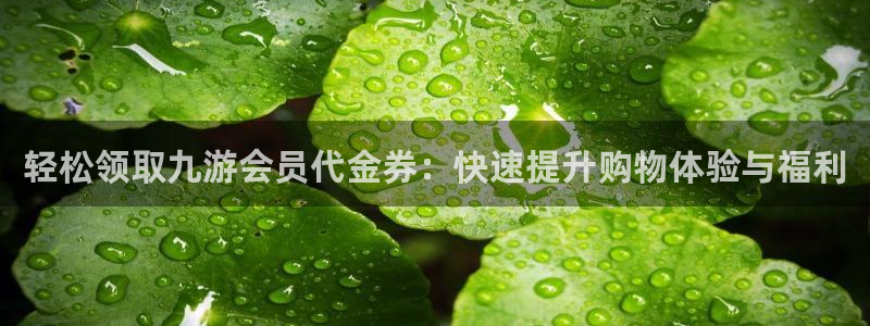 新航娱乐app下载安装