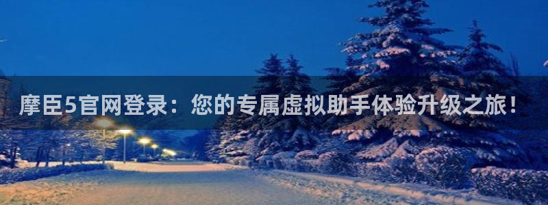 壹号大舞台28国际大舞台