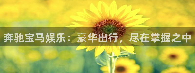 新航娱乐,apk