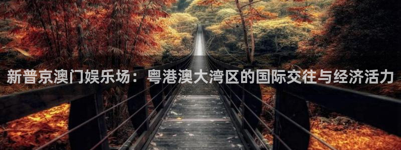壹号大舞台28国际大舞台