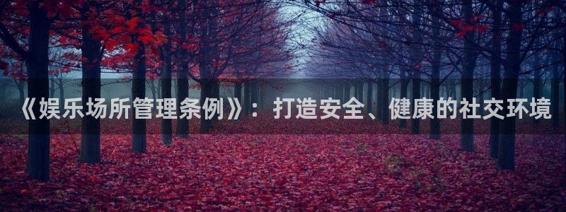新航娱乐强制退款流程详解