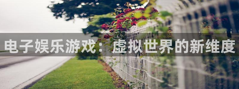 新航娱乐电子游戏官网