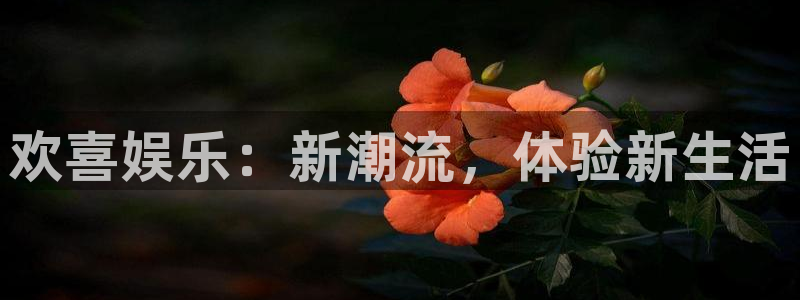 壹号平台娱乐