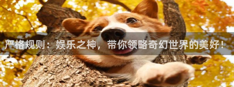 壹号app官方登录入口下载