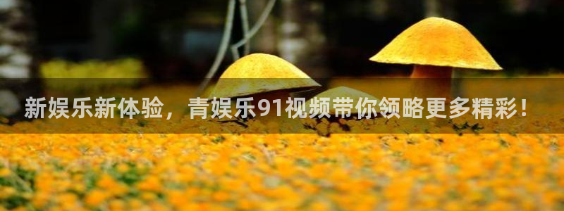 新航娱乐官方网站下载