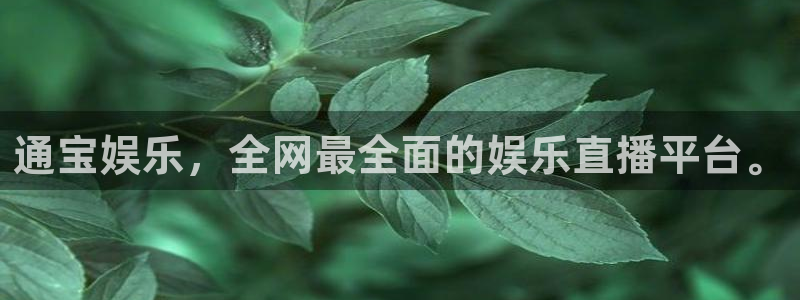 壹号官网app下载安装