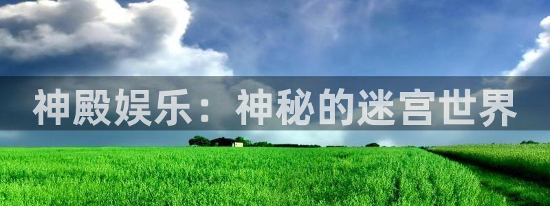 新航娱乐app下载