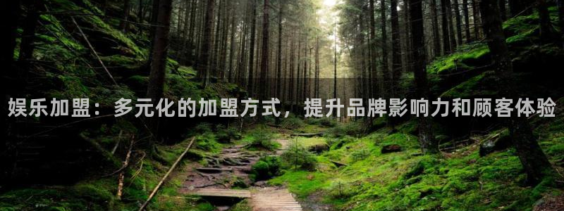 壹号大舞台娱乐传媒