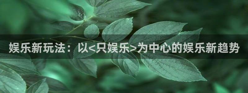 新航娱乐官方网站下载