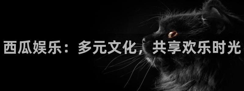 壹号大舞台官网
