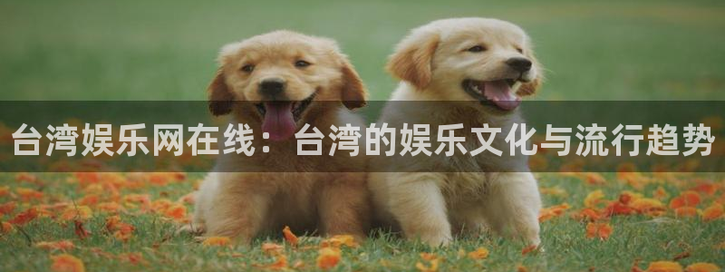 壹号平台app下载安装