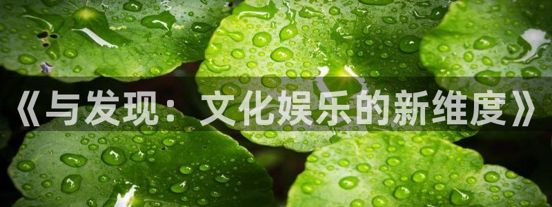 新航娱乐吧