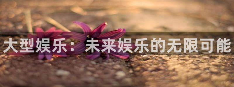 壹号大舞台下载