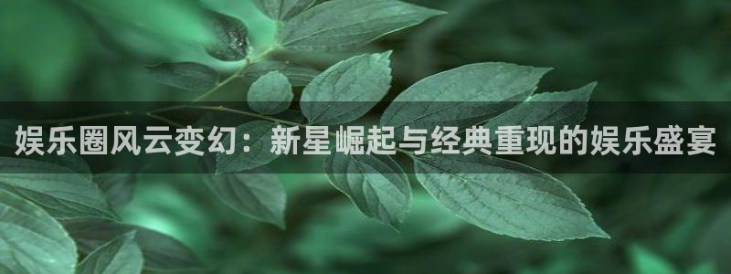 壹号top娱乐：娱乐圈风云变幻：新星崛起与经典重现的娱乐盛宴