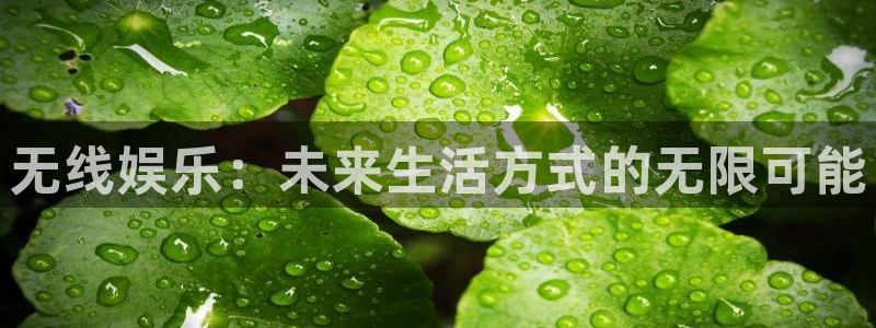 壹号大舞台娱乐app下载安装
