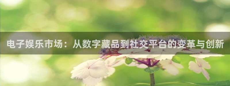 新航娱乐,apk.1：电子娱乐市场：从数字藏品到社交平台的变革与创新