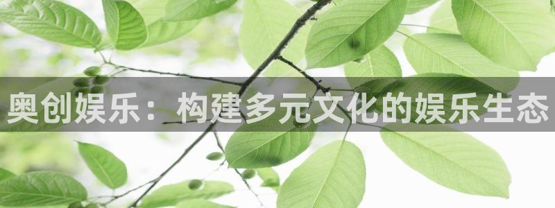 新航娱乐com