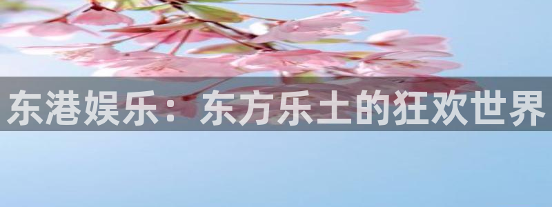 新航娱乐,apk.