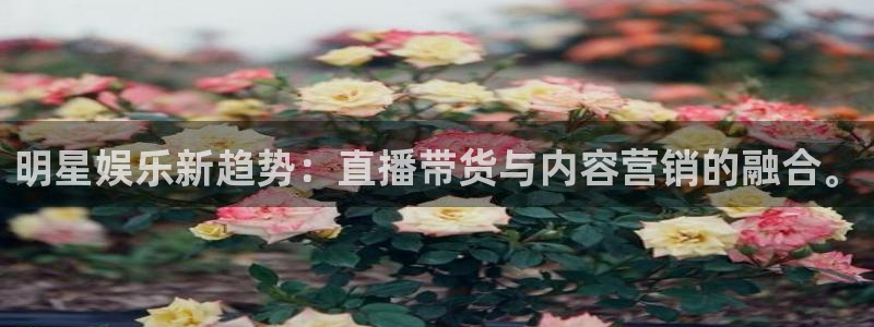 壹号官网app下载安装