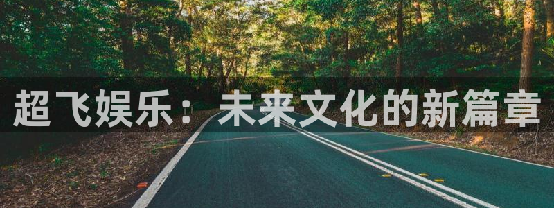 壹号电子娱乐app下载官网
