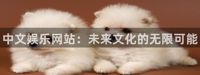 壹号电子娱乐app下载最新版本