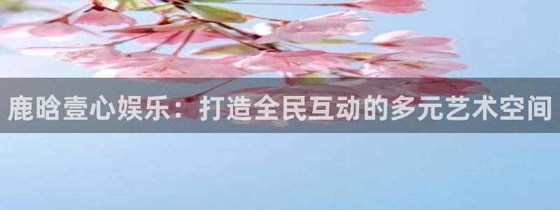 新航娱乐强制退款流程详解