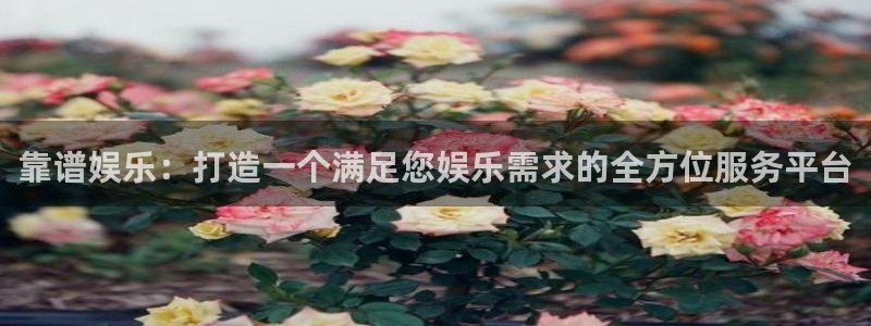 新航娱乐-ng大舞台,有梦你就来