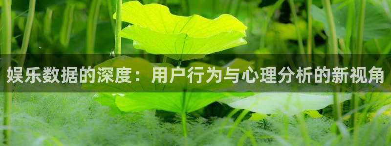 新航娱乐app下载安装：娱乐数据的深度：用户行为与心理分析的新视角