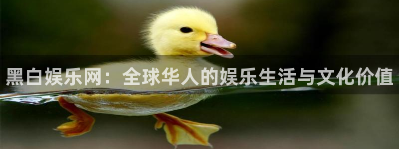 新航娱乐电子游戏官网：黑白娱乐网：全球华人的娱乐生活与文化价值
