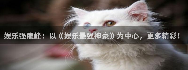 壹号电子娱乐app：娱乐强巅峰：以《娱乐最强神豪》为中心，更多精彩！