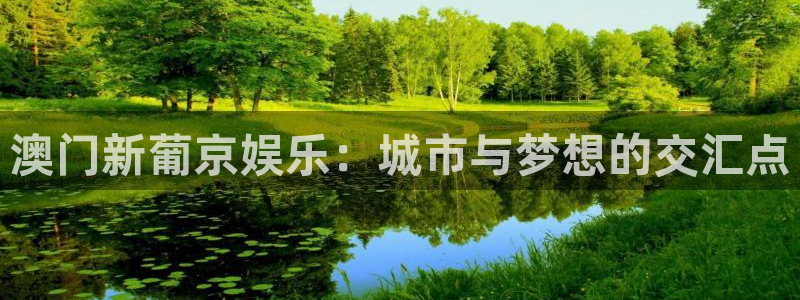 壹号平台下载安装官网：澳门新葡京娱乐：城市与梦想的交汇点