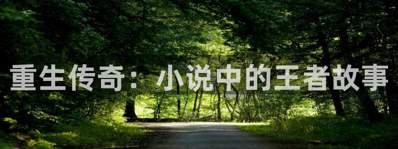 壹号大舞台,有梦你就来：重生传奇：小说中的王者故事