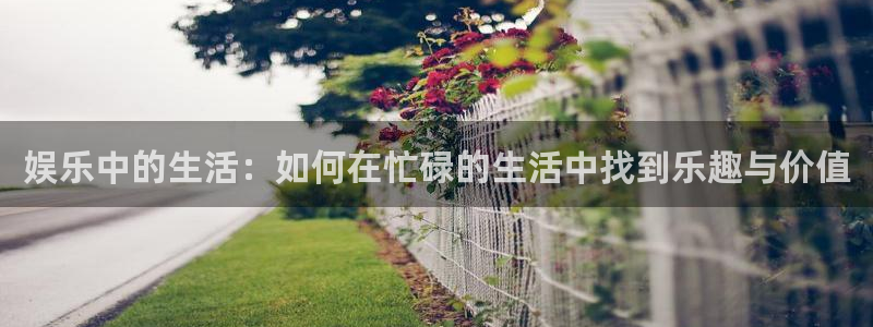 新航娱乐app：娱乐中的生活：如何在忙碌的生活中找到乐趣与价值