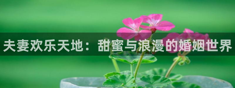壹号大舞台下载链接：夫妻欢乐天地：甜蜜与浪漫的婚姻世界