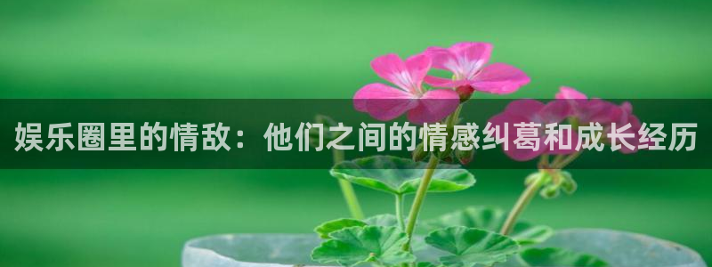 壹号平台app下载安装：娱乐圈里的情敌：他们之间的情感纠葛和成长经历