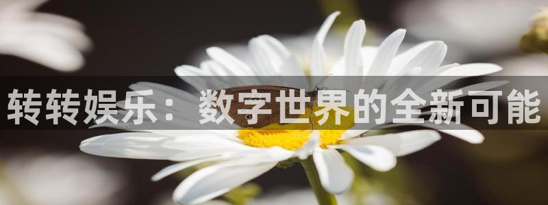 壹号电子娱乐app下载：转转娱乐：数字世界的全新可能