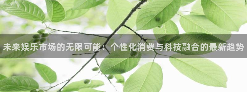 壹号平台下载安装官网：未来娱乐市场的无限可能：个性化消费与科技融合的最新趋势