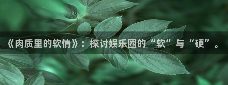 新航娱乐退款怎么退：《肉质里的软情》：探讨娱乐圈的“软”与“硬”。