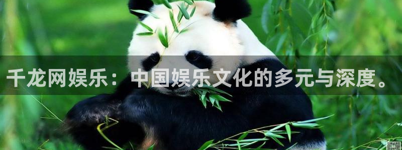 壹号大舞台网站：千龙网娱乐：中国娱乐文化的多元与深度。