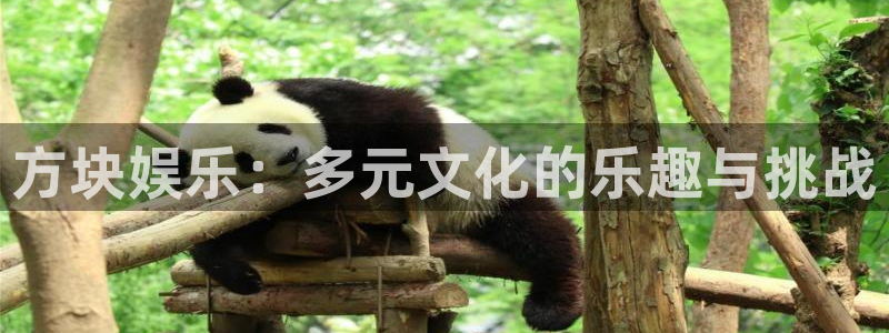 壹号大舞台官网入口：方块娱乐：多元文化的乐趣与挑战